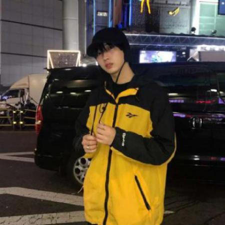 黄色系明星头像,揭秘黄色系明星头像背后的魅力